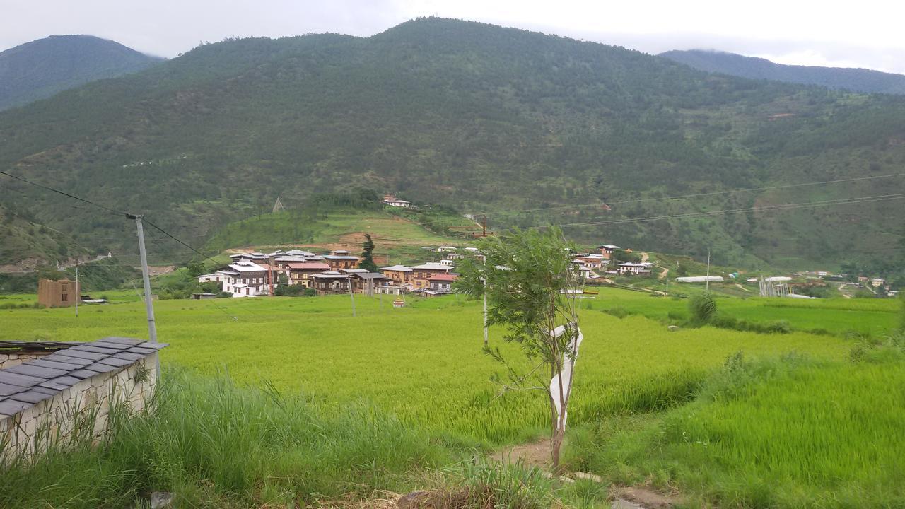 Chimi Lhakhang Village Homestay Пунакха Экстерьер фото